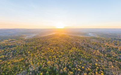 Similar image 22223368