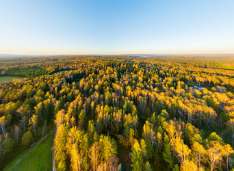 Similar image 22223386