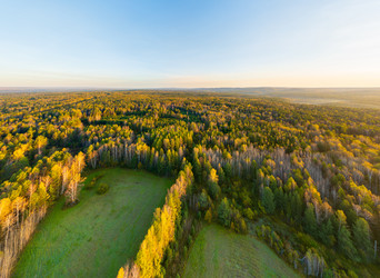 Similar image 22223389