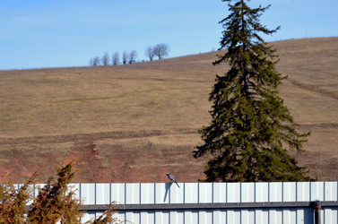 Similar image 22219323