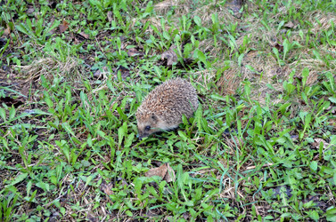 Similar image 22219324