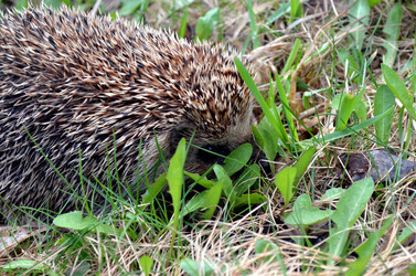 Similar image 22219327