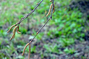 Similar image 22219328