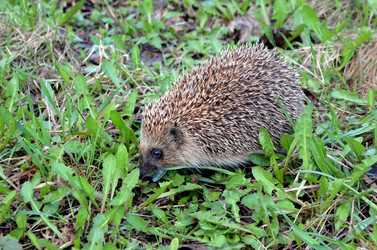 Similar image 22219330