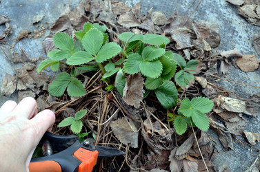 Similar image 22219331