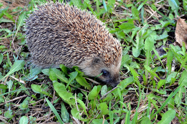 Similar image 22219332