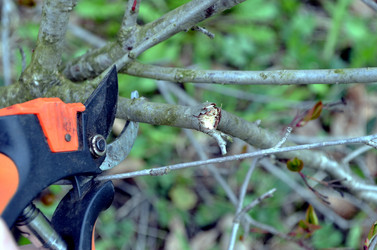 Similar image 22219337