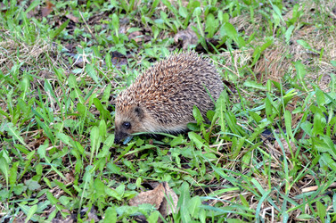 Similar image 22219338