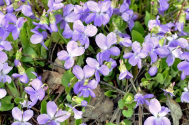 Similar image 22219339