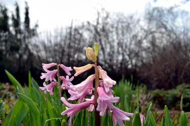 Similar image 22219341