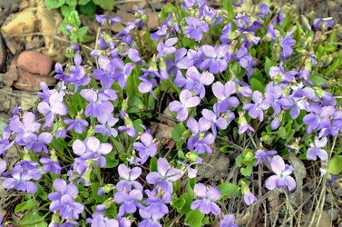 Similar image 22219342