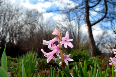 Similar image 22219343