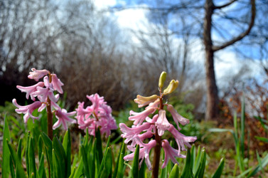 Similar image 22219346