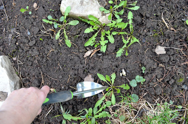 Similar image 22219355