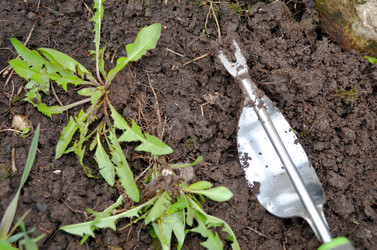 Similar image 22219358