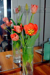 Similar image 22219367