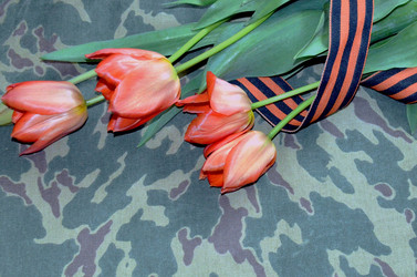 Similar image 22219369