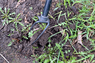 Similar image 22219371