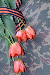 Similar image 22219373