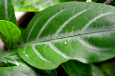 Similar image 22219375