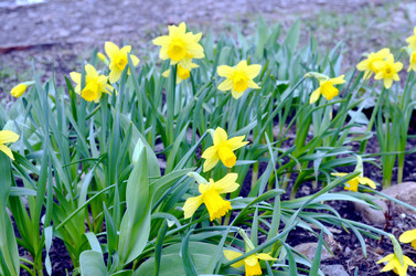 Similar image 22219384