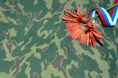 Similar image 22219387