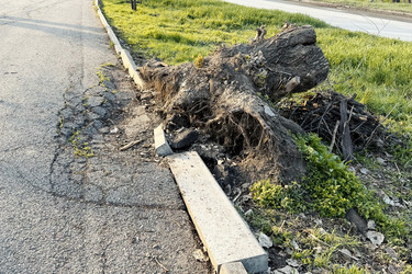 Similar image 22210744