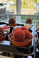 Similar image 22210745