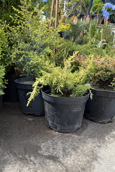 Similar image 22210746