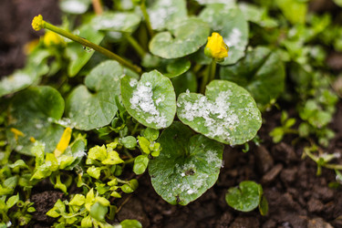 Similar image 22210751