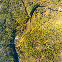 Similar image 22223804