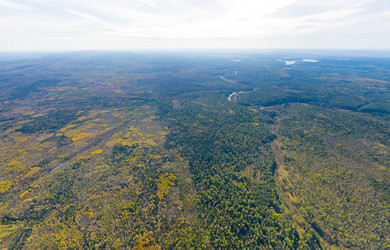 Similar image 22223806