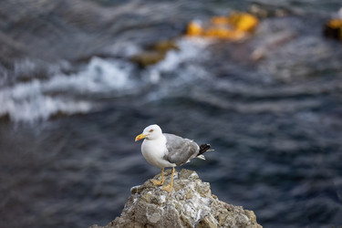 Similar image 22210760