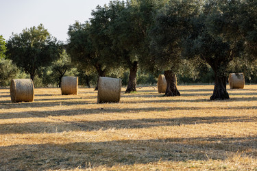 Similar image 22210765