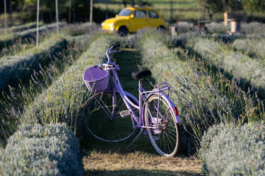 Similar image 22210767