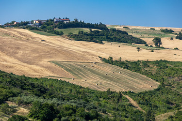 Similar image 22256604