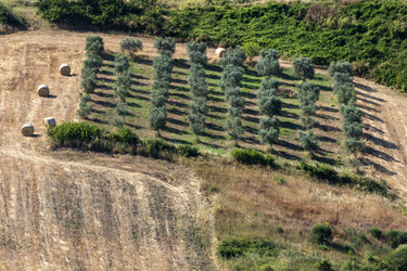 Similar image 22210775