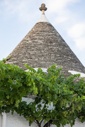 Similar image 22210786