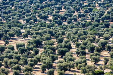 Similar image 22210797