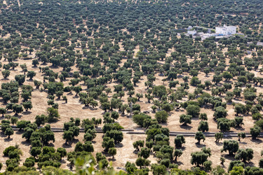 Similar image 22210798