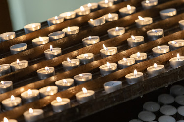 Similar image 22256638