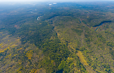 Similar image 22223825