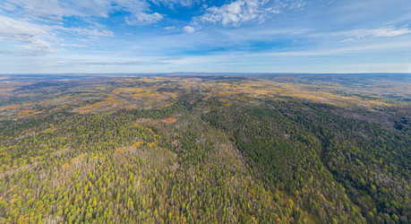 Similar image 22223829