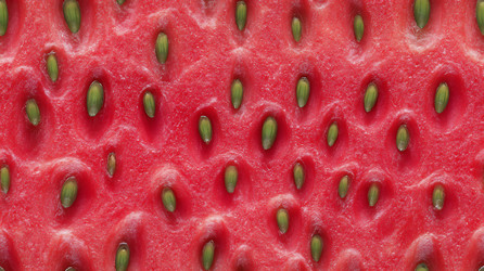 Similar image 22221443