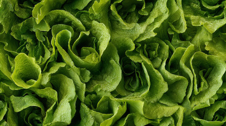 Similar image 22221452