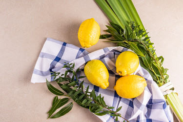 Similar image 22211000