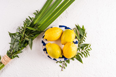 Similar image 22211001