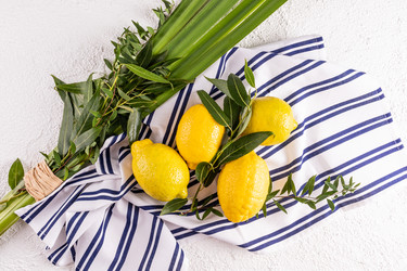 Similar image 22211002