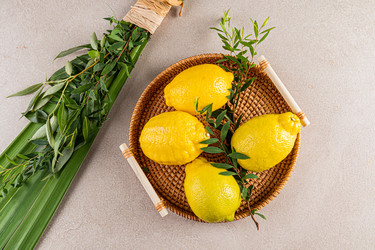 Similar image 22211004