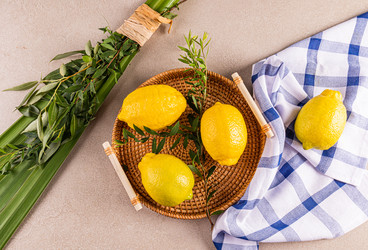 Similar image 22211005